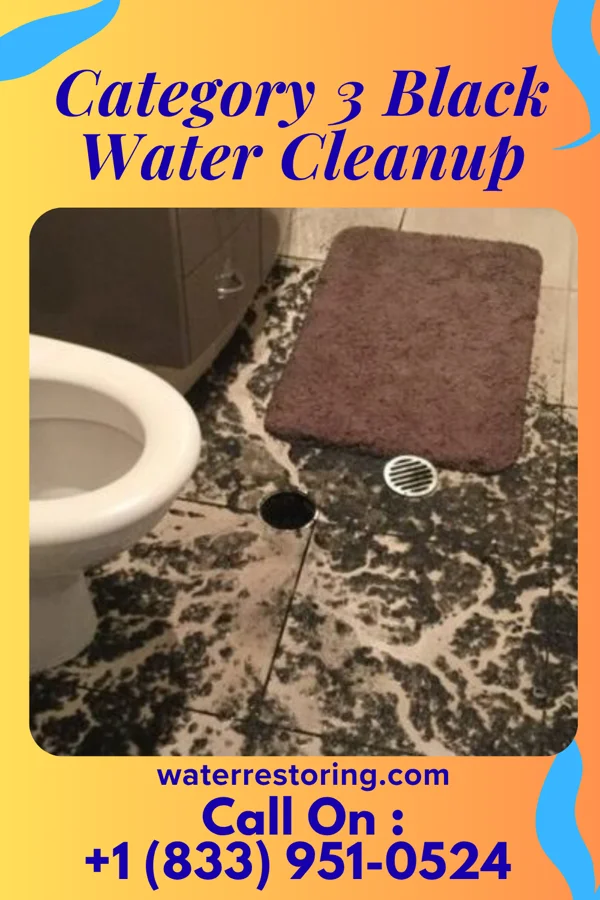 Category 3 Black Water Cleanup in Schwana, WA