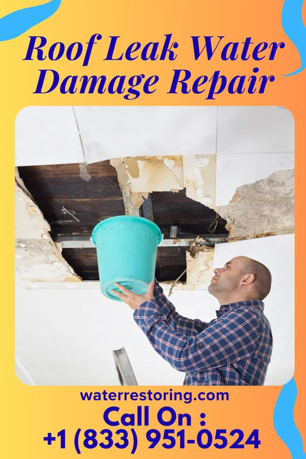 Roof Leak Water Damage Repair in Schwana, WA